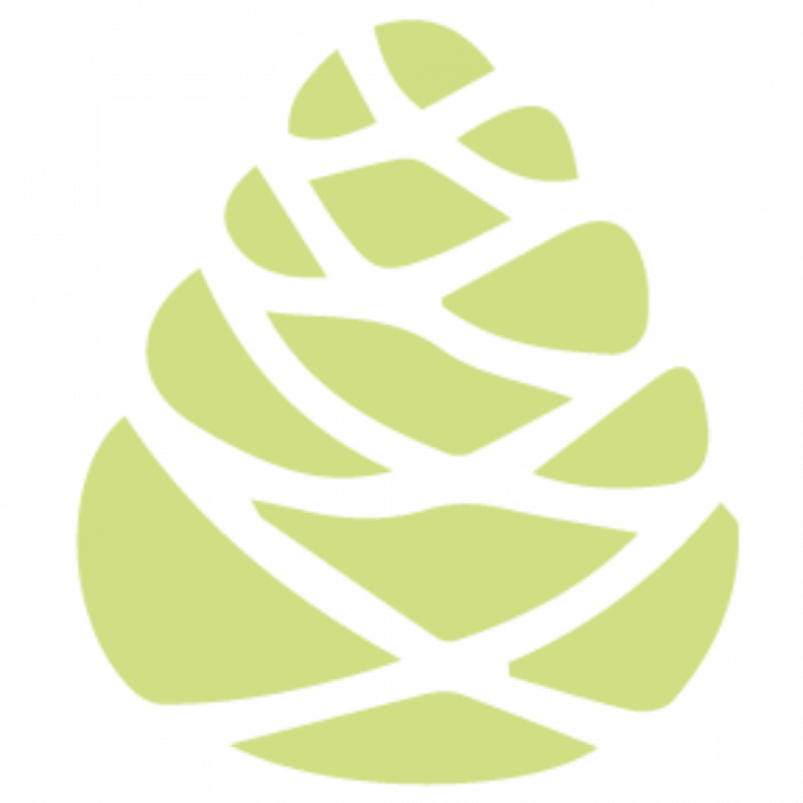 cropped-icon-zapfen-gruen.png